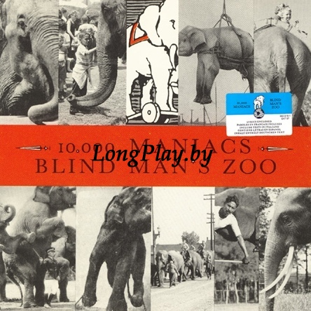 10,000 Maniacs - Blind Man's Zoo +++