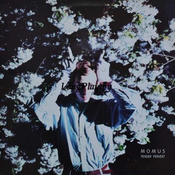 Momus - Tender Pervert UK ORIG ++++