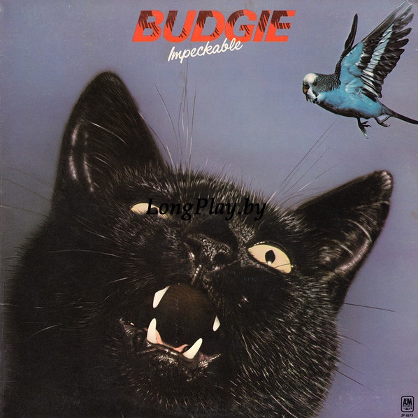 Budgie - Impeckable ORIG ++++