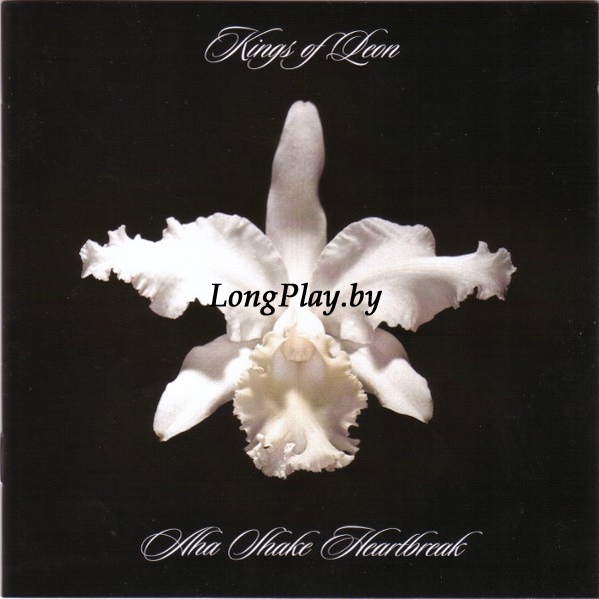 Kings Of Leon - Aha Shake Heartbreak CD ++++