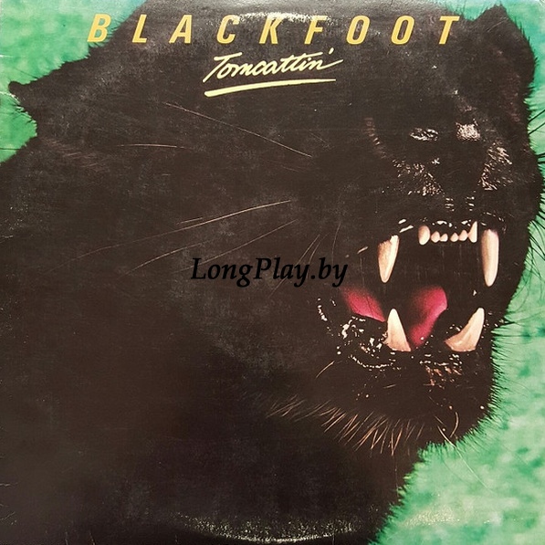 Blackfoot - Tomcattin' US ORIG ++++