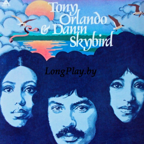 Tony Orlando & Dawn  - Skybird ORIG ++++