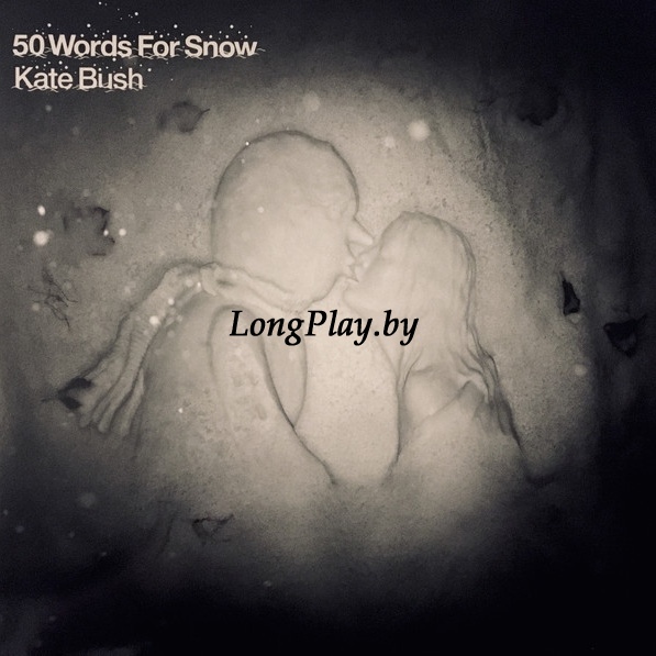 Kate Bush - 50 Words For Snow 2LP ++++