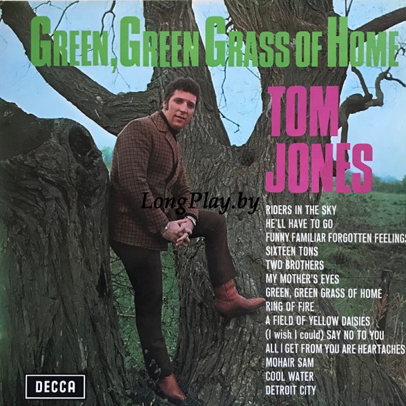 Tom Jones - Green, Green Grass Of Home ORIG ++++