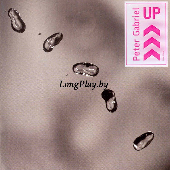 Peter Gabriel - Up CD ++++